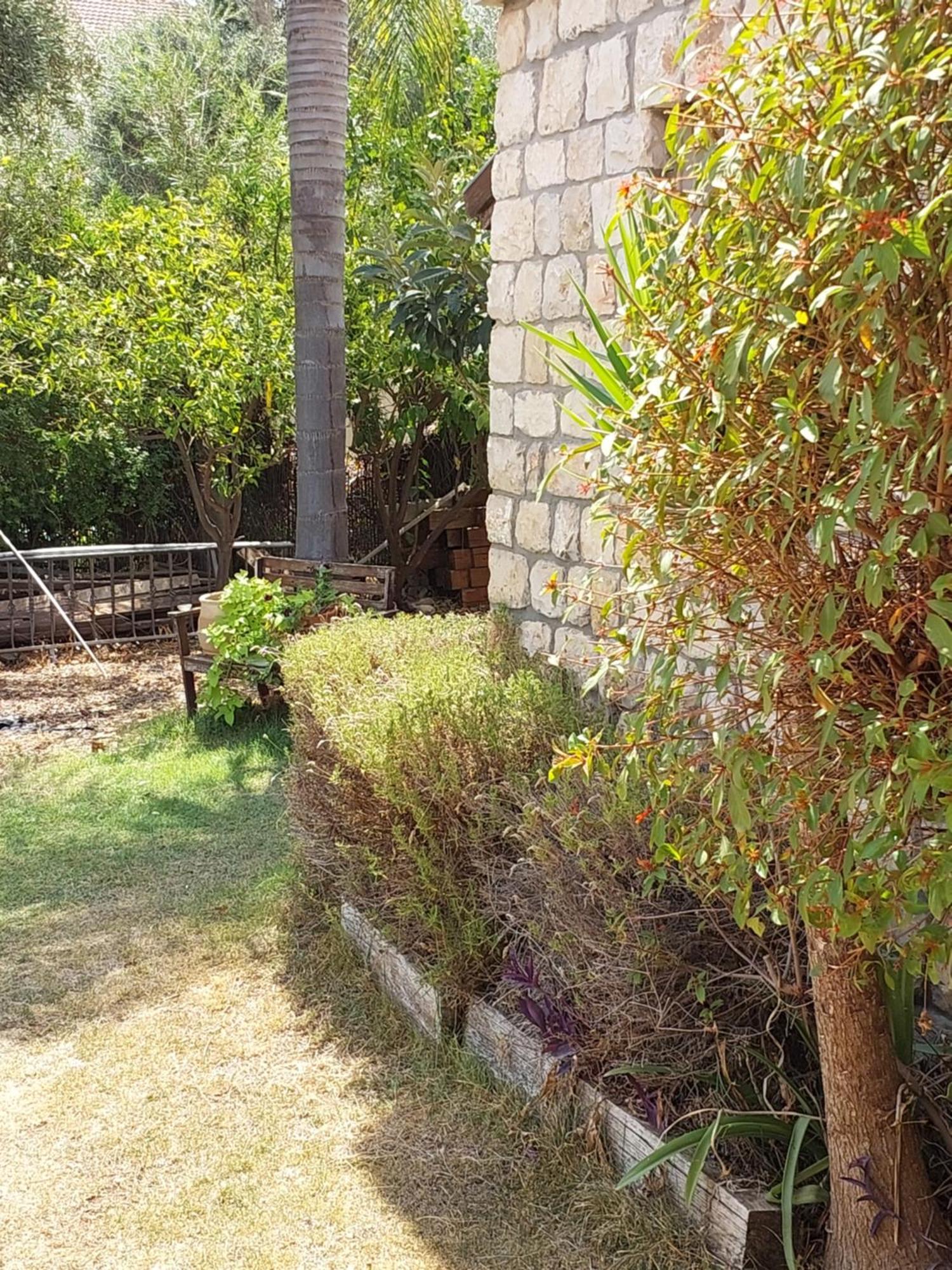 Neve Nof Apartment โรชปินนา ห้อง รูปภาพ