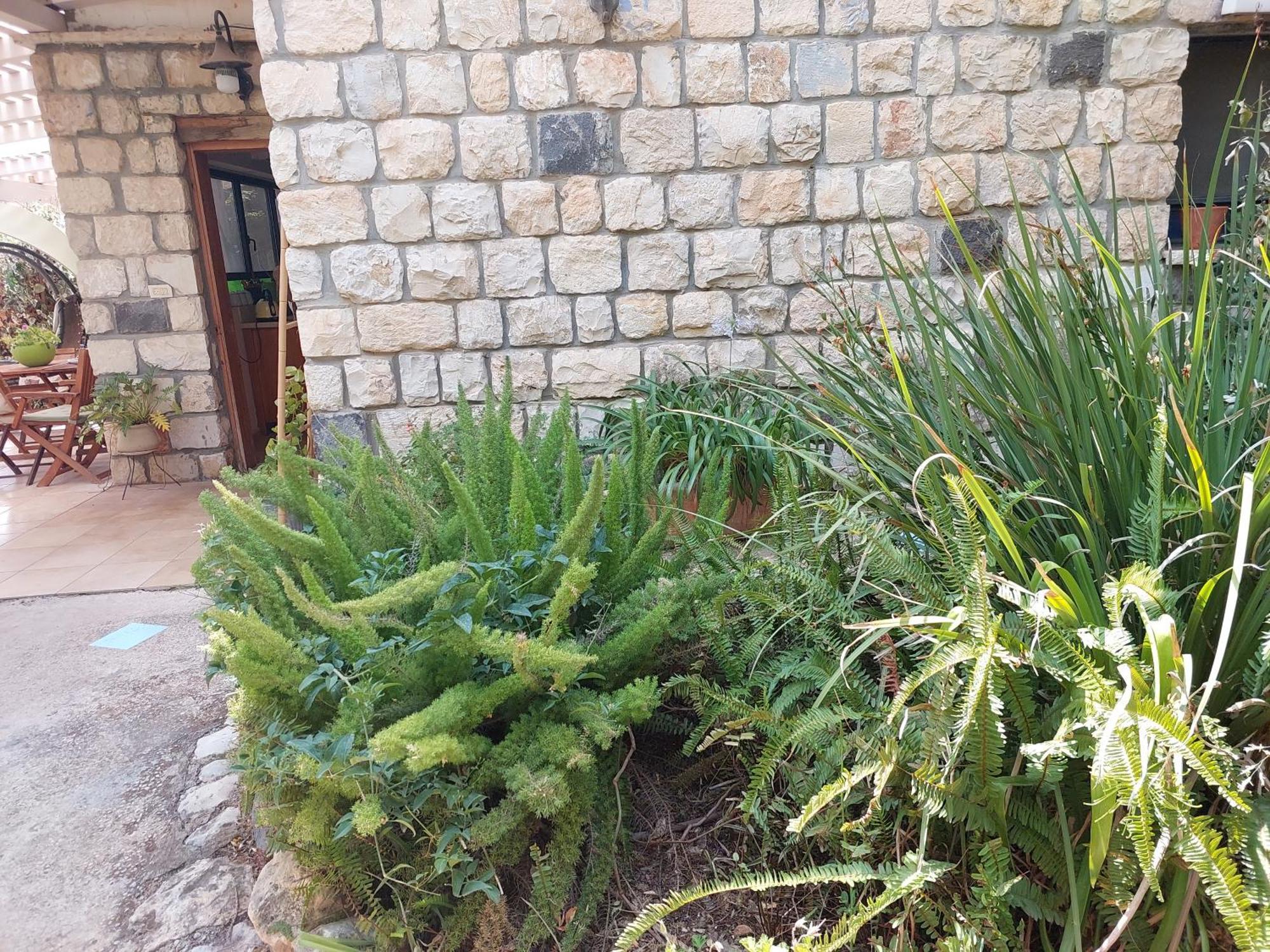 Neve Nof Apartment โรชปินนา ห้อง รูปภาพ